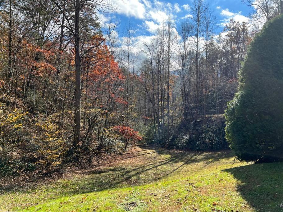 Vila Shiner'S Hollow Gatlinburg Exteriér fotografie